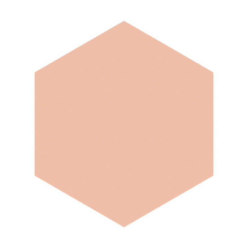 資生堂 資生堂 INTEGRATE GRACY(インテグレート グレイシィ)ホワイトパクトEX(レフィル)ピンクオークル10 11g  