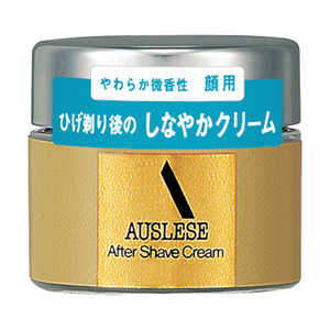 資生堂 AUSLESE(アウスレーゼ)アフターシェーブクリームNA 30g