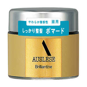 資生堂 AUSLESE(アウスレーゼ)ブリランチンN 80g 