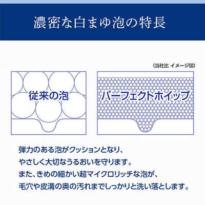 ファイントゥデイ 洗顔専科(せんか) パーフェクトホイップ (120g