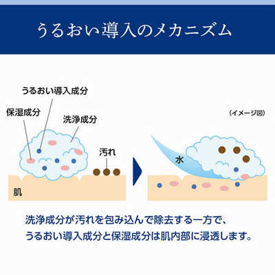ファイントゥデイ 洗顔専科(せんか) パーフェクトホイップ (120g