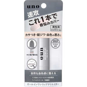 ファイントゥデイ UNO(ウーノ)オールインワンリップクリエイター 2.2g 