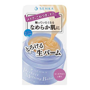 ファイントゥデイ 専科 パーフェクトメルティングバーム 90g ファイントゥデイ 専科 パーフェクトメルティングバーム 90g
