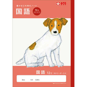 �����饯��ѥ� �ؽ�Ģ ��� 12��R NJ27