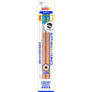 トンボ鉛筆 書き方鉛筆きれいにきえるN4B2Pパック ACJ-265