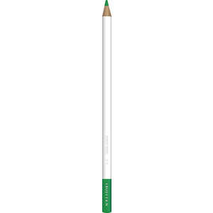 トンボ鉛筆 色鉛筆色辞典単色V05 CI-RV5