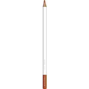 トンボ鉛筆 色鉛筆色辞典単色D14 CI-RD14