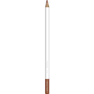 トンボ鉛筆 色鉛筆色辞典単色DL02 CI-RDL2