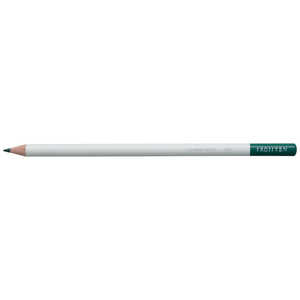 トンボ鉛筆 色鉛筆色辞典単色EX03 CI-REX3