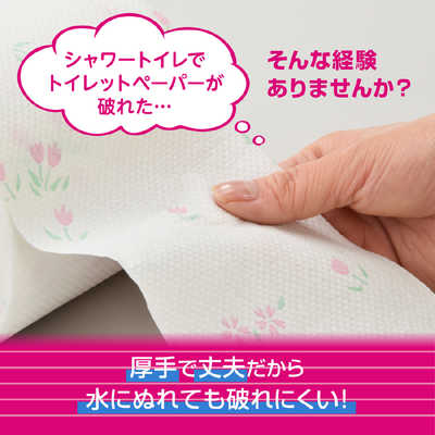 大王製紙 エリエール シャワートイレのためにつくった吸水力が2倍のトイレットペーパー ダブル 芯あり 25m 無香料 1セット（72ロール：12ロール×6...(代引不可) Trick or Toilet HAPPY HALLOWEEN キャンペーン｜エリエール