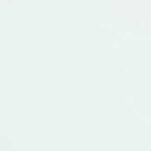 トーヨー 単色おりがみ35.0 しろ 076158