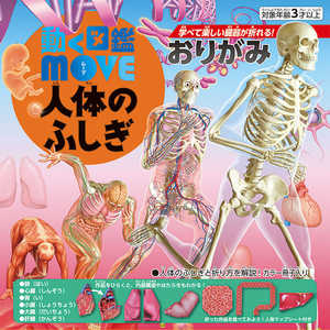 トーヨー MOVE人体のふしぎおりがみ 036510 トーヨー MOVE人体のふしぎおりがみ 036510