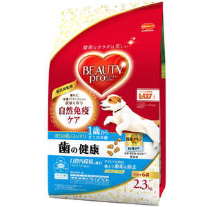 日本ペットフード ビューティープロ ドッグ 歯の健康 1歳から 2.3kg(小分け6袋入) 日本ペットフード ビューティープロ ドッグ 歯の健康 1歳から 2.3kg(小分け6袋入)