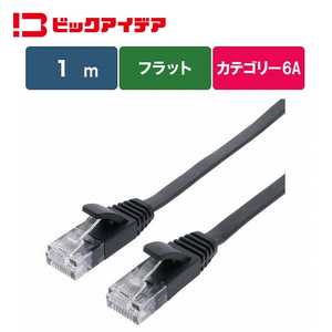 ビックアイデア LANケーブル Cat6A フラット 1m ［1m / カテゴリー6A / フラット］ ブラック BIM-LC6A1FL100K