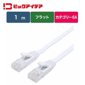ビックアイデア LANケーブル Cat6A フラット 1m ［1m / カテゴリー6A / フラット］ ホワイト BIM-LC6A1FL100W