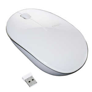 ナカバヤシ マウス FLATTY(Chrome/Mac/Windows11対応) ホワイト ［BlueLED /無線(ワイヤレス) /3ボタン /USB］ MUS-RKT153NW