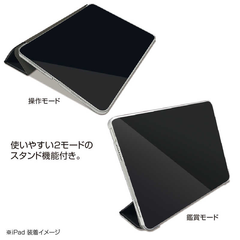 ナカバヤシ ナカバヤシ iPad10.9インチ(2022)用 軽量ハードケースカバー TBCIP2200Y TBCIP2200Y