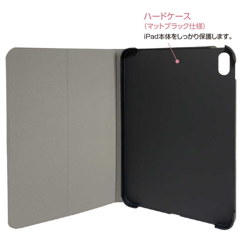 ナカバヤシ ナカバヤシ iPad10.9インチ(2022)用 ハードケースカバー TBCIP2207BK TBCIP2207BK