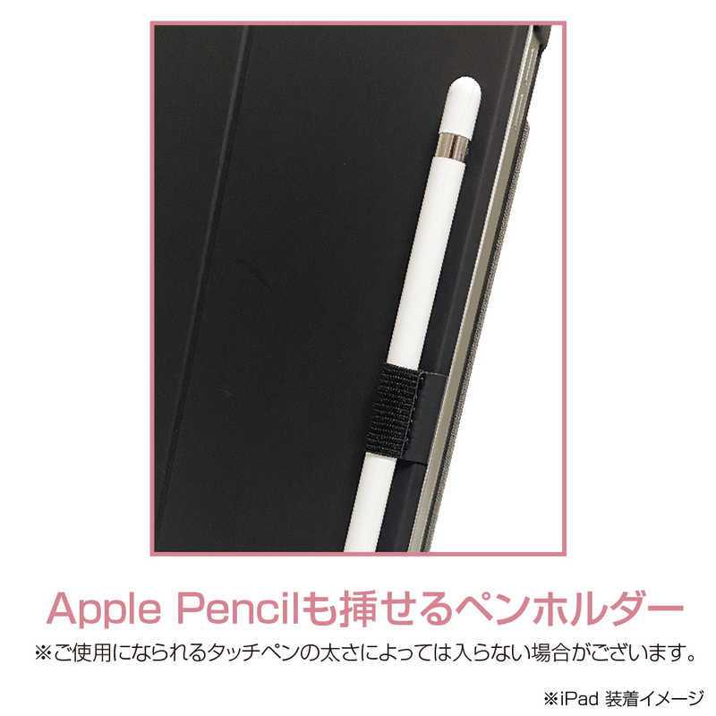 ナカバヤシ ナカバヤシ iPad10.9インチ(2022)用 ハードケースカバー TBCIP2207BK TBCIP2207BK