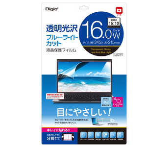 ナカバヤシ PC用液晶保護フィルム 16W(16:10) 光沢透明ブルーライトカット SFNFLKBC160W2 ナカバヤシ PC用液晶保護フィルム 16W(16:10) 光沢透明ブルーライトカット SFNFLKBC160W2