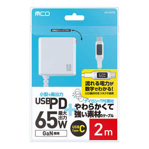 ナカバヤシ GAN 65W PD充電器ケーブル一体型 2m JYUAC0220W ナカバヤシ GAN 65W PD充電器ケーブル一体型 2m JYUAC0220W