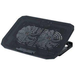 ʥХ䥷 ΡPC顼 2Way2FANץ NSF11BK