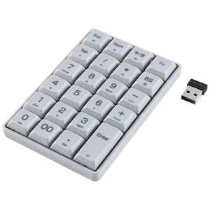�i�J�o���V ���C�����X�e���L�[ �����O�X�g���[�N TEN24G04GY