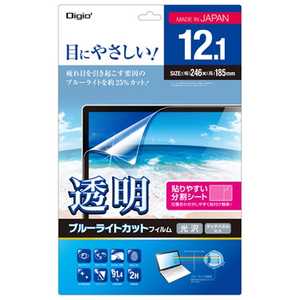 ナカバヤシ 12.1型対応 ノートPC用 透明ブルーライトカット 液晶保護フィルム (246x185mm) SF-FLKBC121