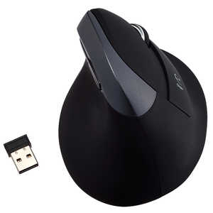 ナカバヤシ MUS-RKF169BK マウス Digio2 ブラック [BlueLED /5ボタン /USB /無線(ワイヤレス)] ブラック MUSRKF169BK