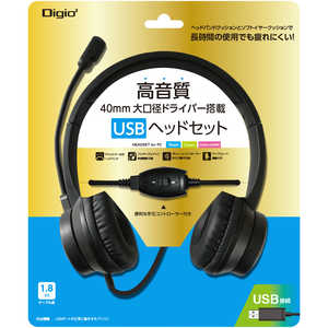 ナカバヤシ ヘッドセット USB 両耳 ヘッドバンドタイプ MHM-SU33BK ブラック ナカバヤシ ヘッドセット USB 両耳 ヘッドバンドタイプ MHM-SU33BK ブラック