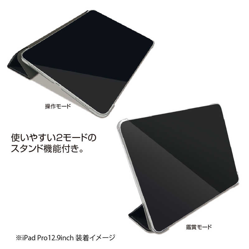 ナカバヤシ ナカバヤシ 軽量ハードケースカバー iPadPro12.9インチ(2021)用 TBCIPP2110BK TBCIPP2110BK