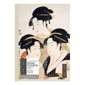 �ʥ��Х䥷 �������Ρ��� A5 30�� ��¿����� NA507S-15