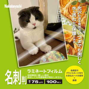 ʥХ䥷 75mߥ͡ȥե 100 LPR61E275