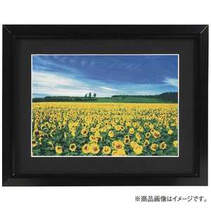 ナカバヤシ アルミ製軽量写真額 ワイド六ツ切判 フSA223D ナカバヤシ アルミ製軽量写真額 ワイド六ツ切判 フSA223D