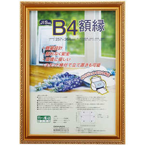 ナカバヤシ 樹脂製賞状額 金ケシ B4 フKWP36