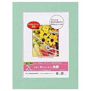 ナカバヤシ Vカットマット台紙 Digio(2L/グリーン) DGVM‐2L‐G ナカバヤシ Vカットマット台紙 Digio(2L/グリーン) DGVM‐2L‐G