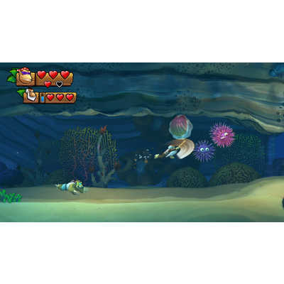 任天堂 Nintendo Switchゲームソフト ドンキｰコング トロピカル