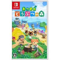 あつまれ どうぶつの森』ソフトが入った特別デザインのNintendo