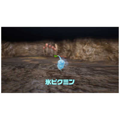 任天堂　Nintendo Switchゲームソフト Pikmin 4（ピクミン4）