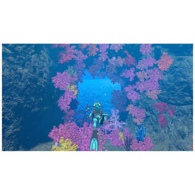 任天堂 Nintendo Switchゲームソフト フォーエバーブルー ルミナス HAC
