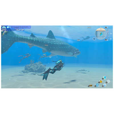 任天堂 Nintendo Switchゲームソフト フォーエバーブルー ルミナス HAC