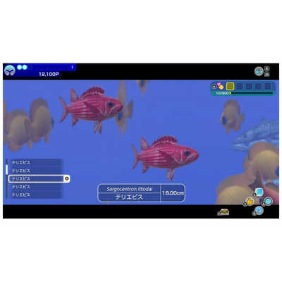 任天堂 Nintendo Switchゲームソフト フォーエバーブルー ルミナス HAC