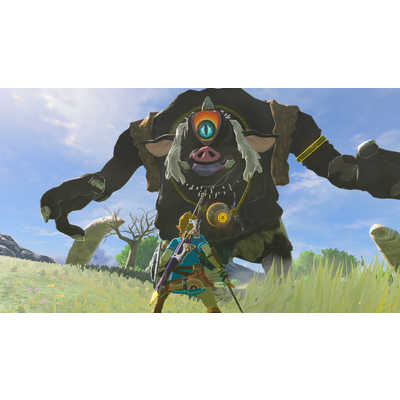 任天堂 Nintendo Switch2ゲームソフト ゼルダの伝説 ブレス オブ
