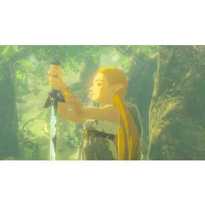 任天堂 Nintendo Switch2ゲームソフト ゼルダの伝説 ブレス オブ