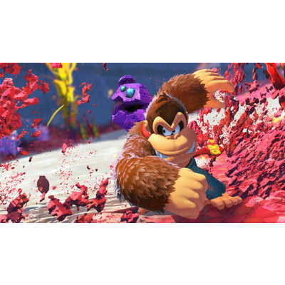 任天堂 Nintendo Switch2ゲームソフト ドンキーコング バナンザ