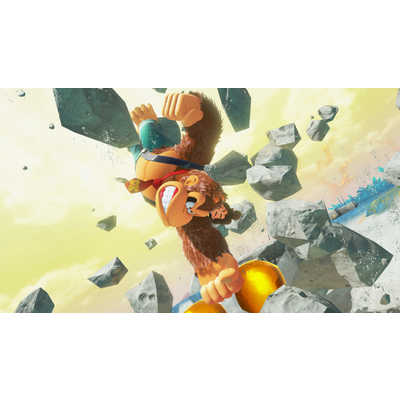 任天堂 Nintendo Switch2ゲームソフト ドンキーコング バナンザ BEE-P
