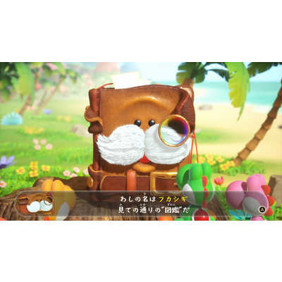 任天堂 Nintendo Switch2ゲームソフト ヨッシーとフカシギの図鑑 BEE-P