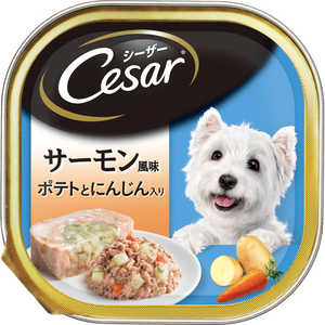 V[U[ T[ |egƂɂ񂶂 100g