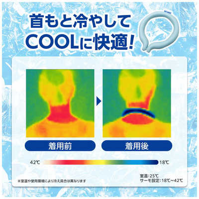 白元 アイスノン ネッククーラー アイスグレー Sサイズ(内周約32cm) の