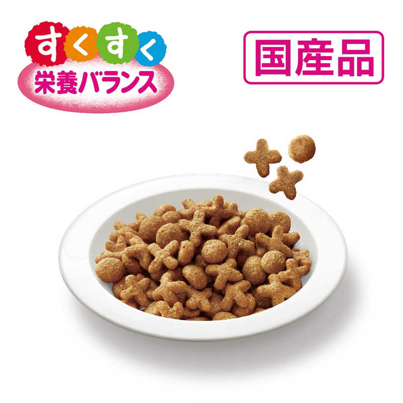 メディファス 子ねこ 12か月まで チキン味 500g ホームセンター通販 カインズ